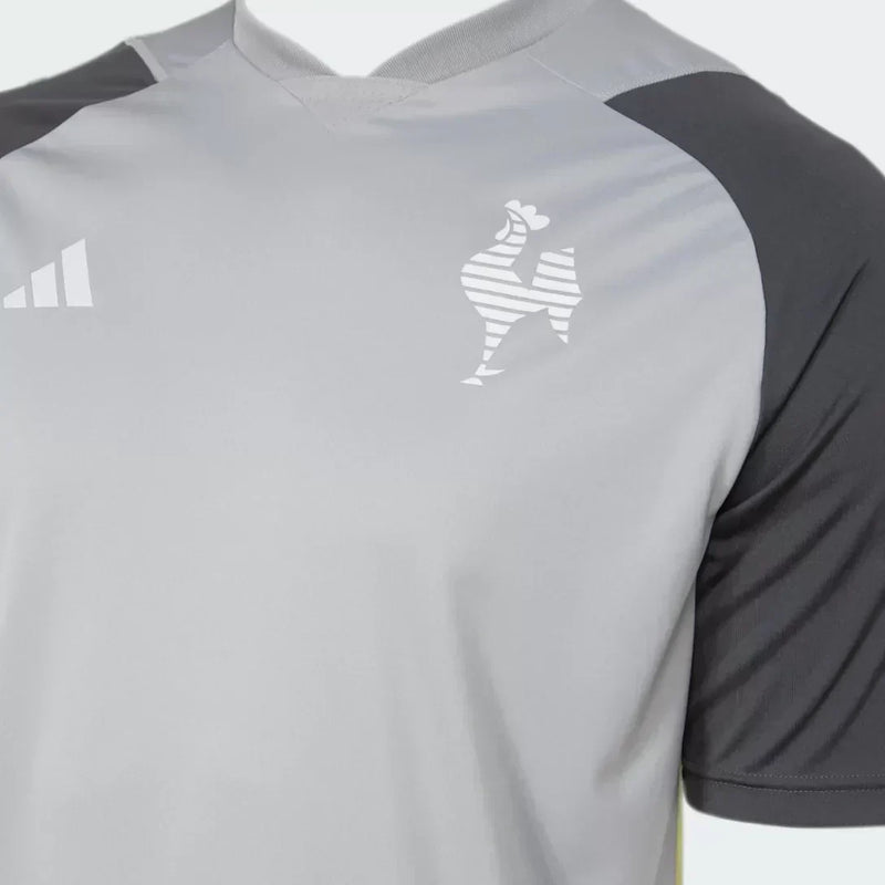 Camisa Atlético Mineiro Treino 2024/25 Cinza - Modelo Torcedor